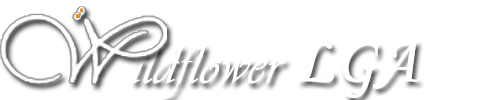 Wildflower LGA Logo